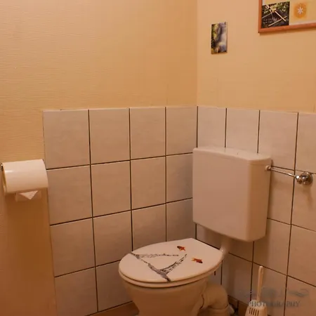 Gruppenhaus Bis 14 Personen Im Suedharz *