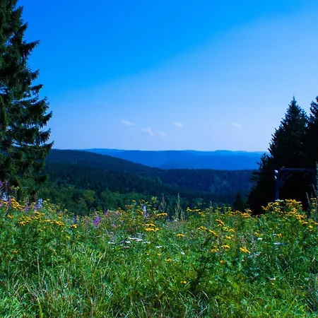 Hébergement de vacances Gruppenhaus Bis 14 Personen Im Suedharz *