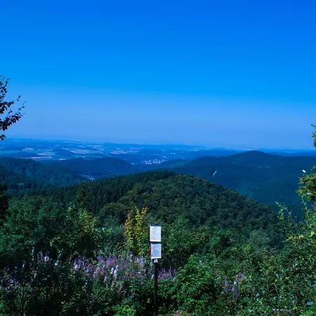Gruppenhaus Bis 14 Personen Im Suedharz Casa de Férias