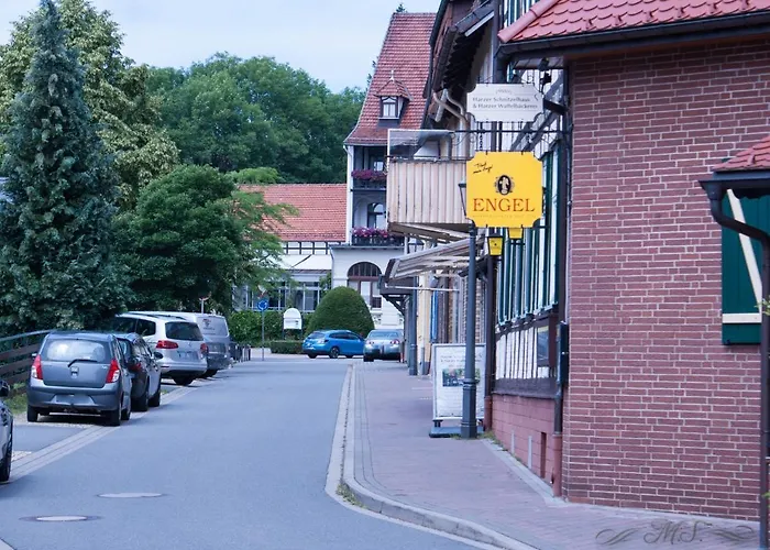 Gruppenhaus Bis 14 Personen Im Suedharz 度假居 巴特萨克萨