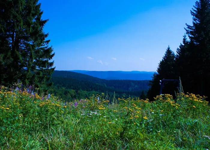 度假居 Gruppenhaus Bis 14 Personen Im Suedharz *