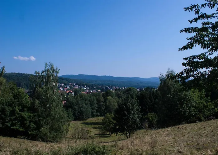 度假居 Gruppenhaus Bis 14 Personen Im Suedharz 巴特萨克萨
