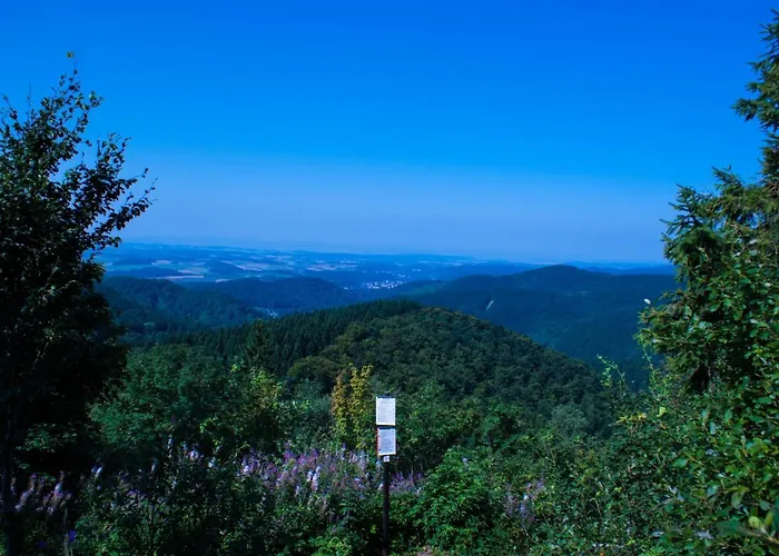 Gruppenhaus Bis 14 Personen Im Suedharz 度假居