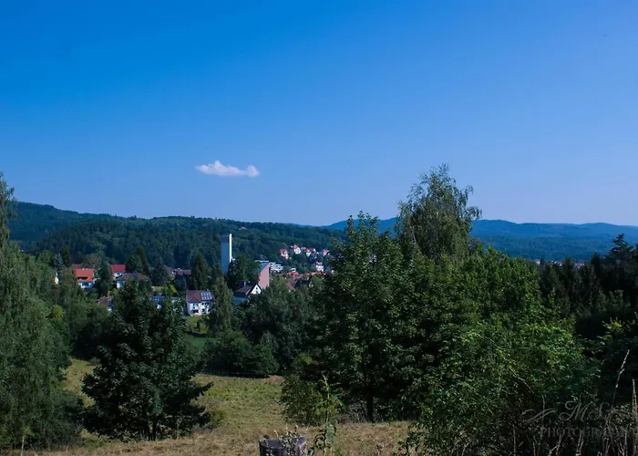 度假居 Gruppenhaus Bis 14 Personen Im Suedharz