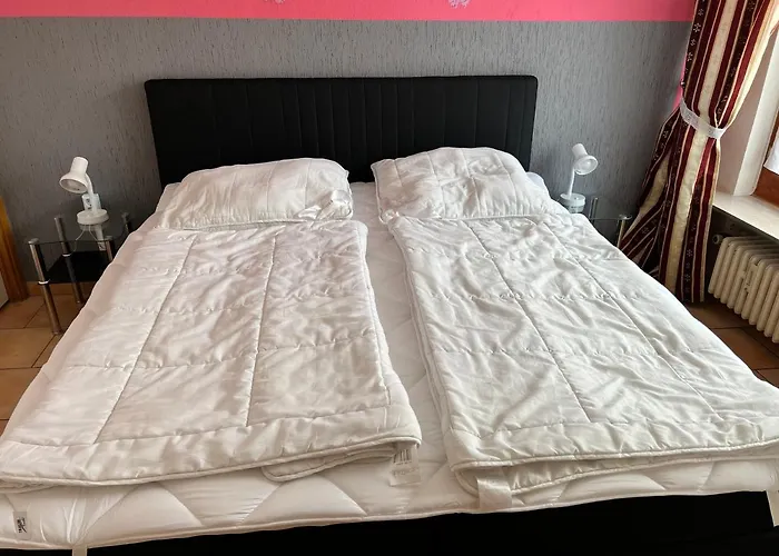 Gruppenhaus Bis 14 Personen Im Suedharz 巴特萨克萨